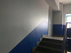 Учебные заведения