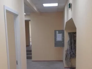 Учебные заведения